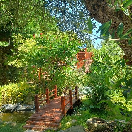 G1 Les Oliviers Villa Saint-Germain-de-Princay Buitenkant foto